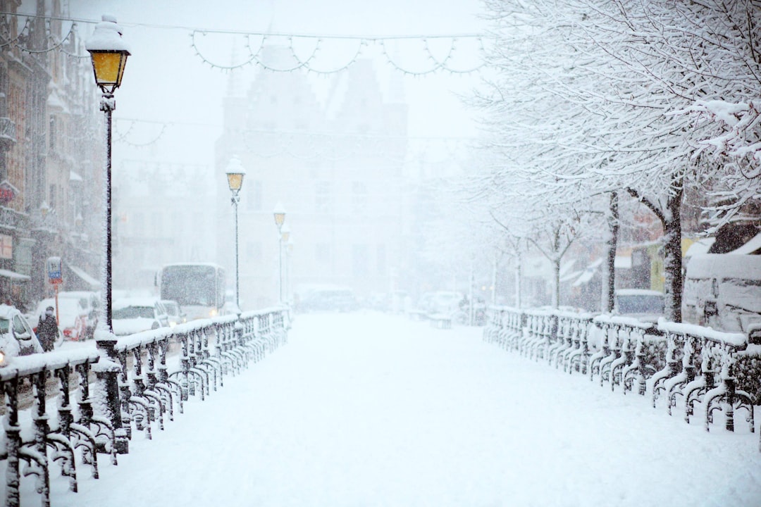 Préparation hivernale